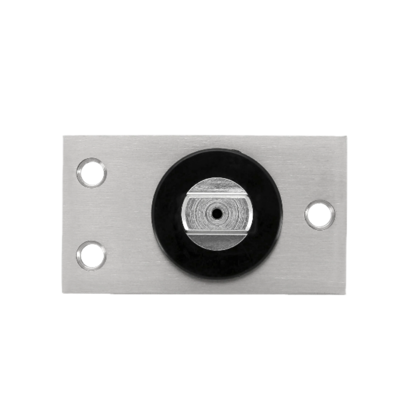 CP-250 250kg Free Swing Floor Pivot SSS